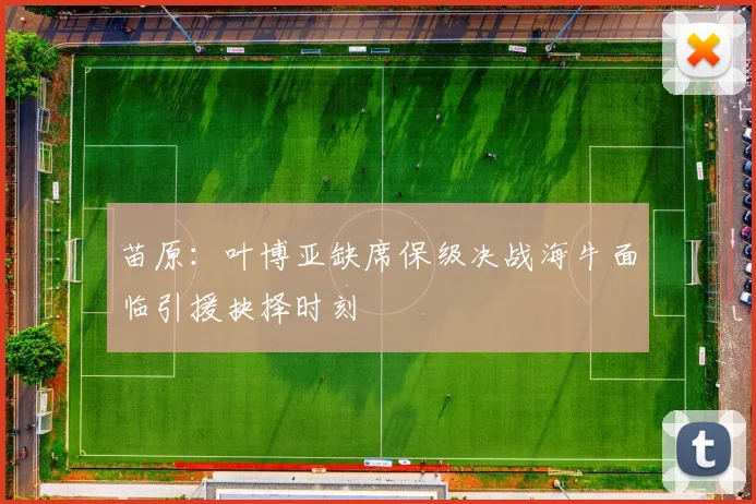 苗原：叶博亚缺席保级决战海牛面临引援抉择时刻