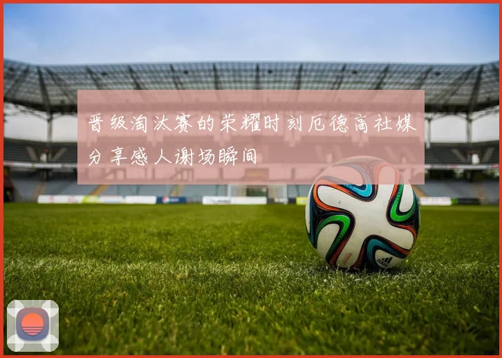 晋级淘汰赛的荣耀时刻厄德高社媒分享感人谢场瞬间